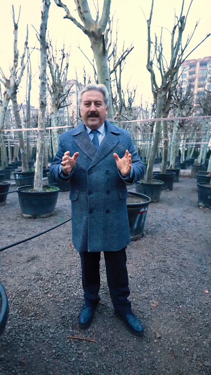 Kayseri Melikgazi'de Yüzyıllık Çınarlarla Yeşil Devrim