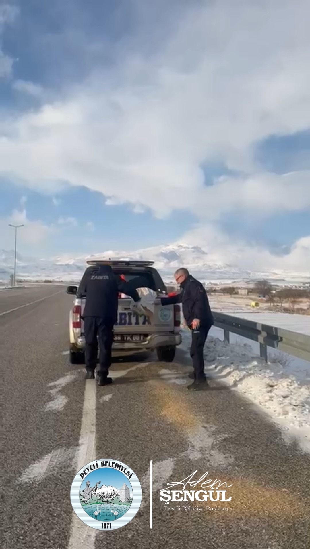 Develi Belediyesi, Sokak Hayvanları İçin Kış Seferberliği Başlattı