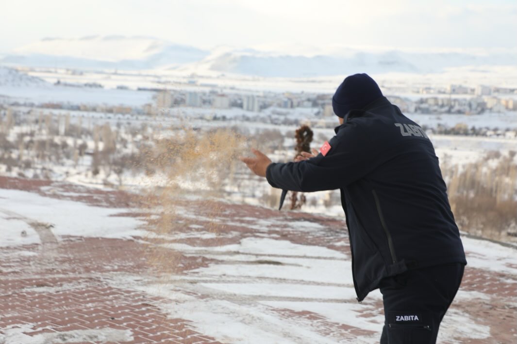 Kar Soğuğunda Can Dostlarımızın Yanındayız | Develi Belediyesi