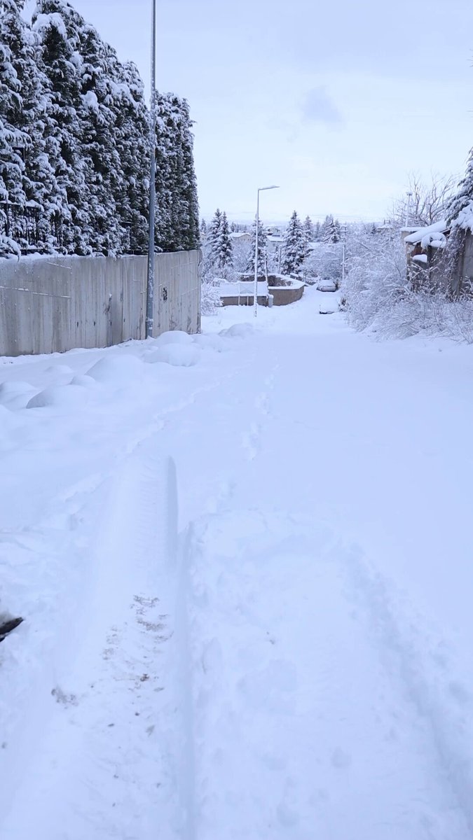 Melikgazi Belediyesi, MEGA Dijital Asistanı ile 7/24 Hizmet Veriyor