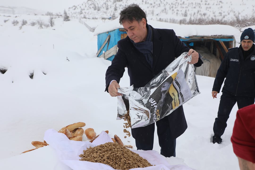 Develi Belediyesi'nden Sokak Hayvanlarına Kış Yardımı