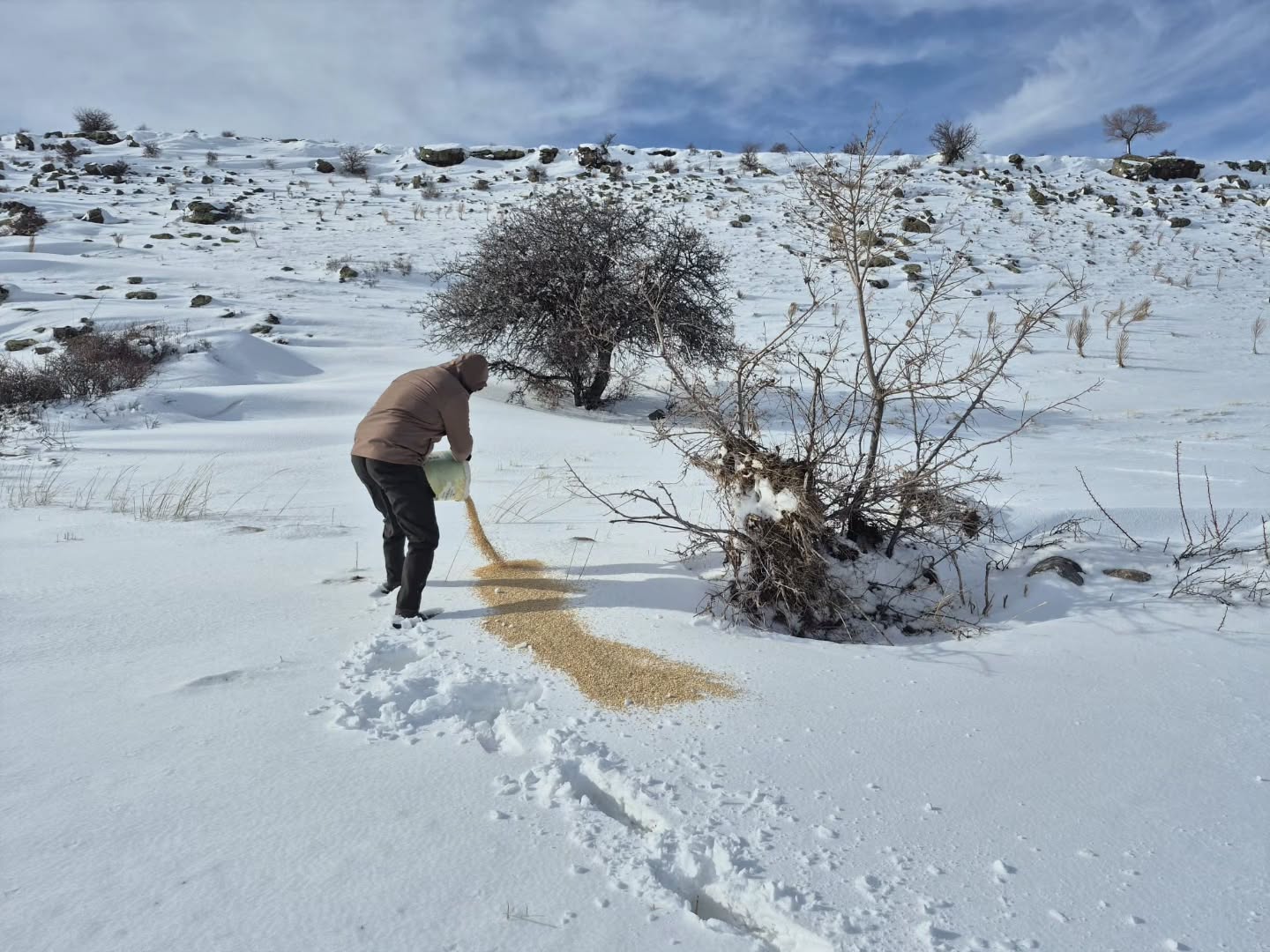 Bünyan'da Sokak ve Yaban Hayvanları İçin Kış Seferberliği