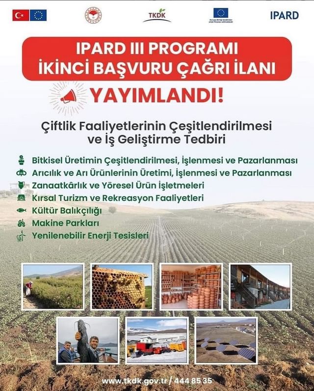 Girişimcilere 80 Milyon Avro Hibe Desteği