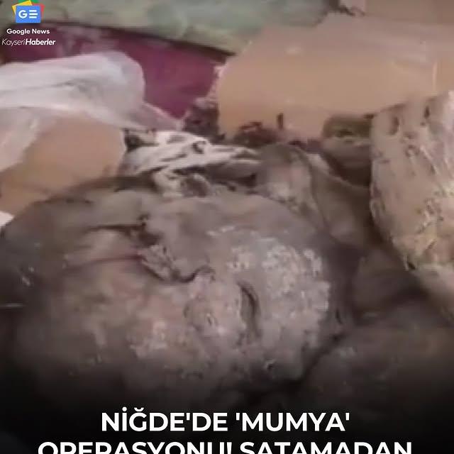 Kayseri'de Tarihi Eser Kaçakçılığı Operasyonu: Mumya Ele Geçirildi