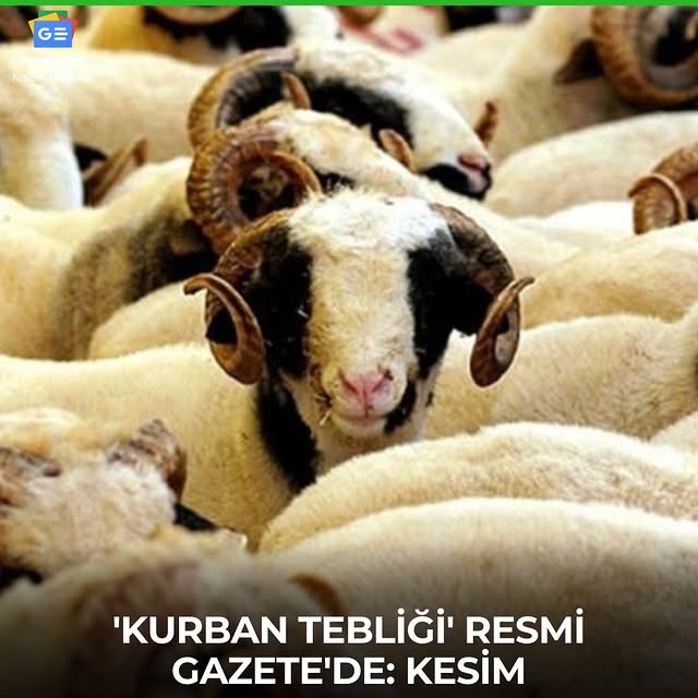 Kurban Hizmetleri Tebliği Yürürlüğe Girdi: Kurbanlık Sorgulama ve Cezalarla İlgili Bilgiler