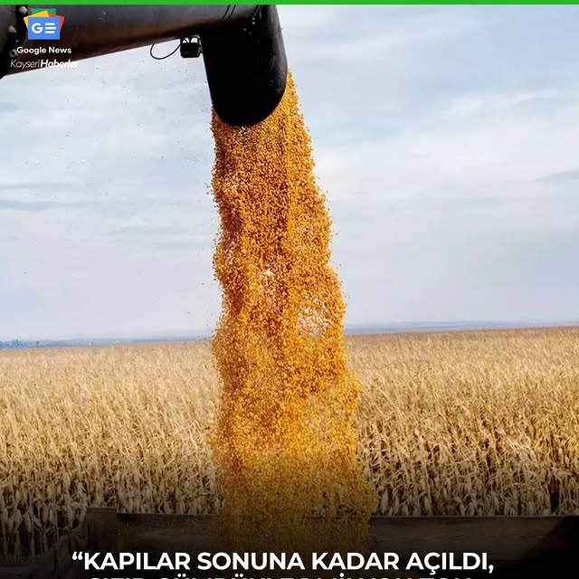 Mısır İthalatında Yeni Düzenleme: 1 Milyon Ton Mısır Sıfır Gümrükle İthal Edilecek
