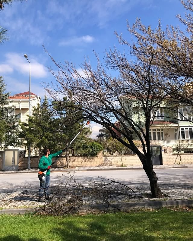 Kayseri'de Park ve Bahçe Çalışmalarıyla Şehir Estetiği Artırılıyor