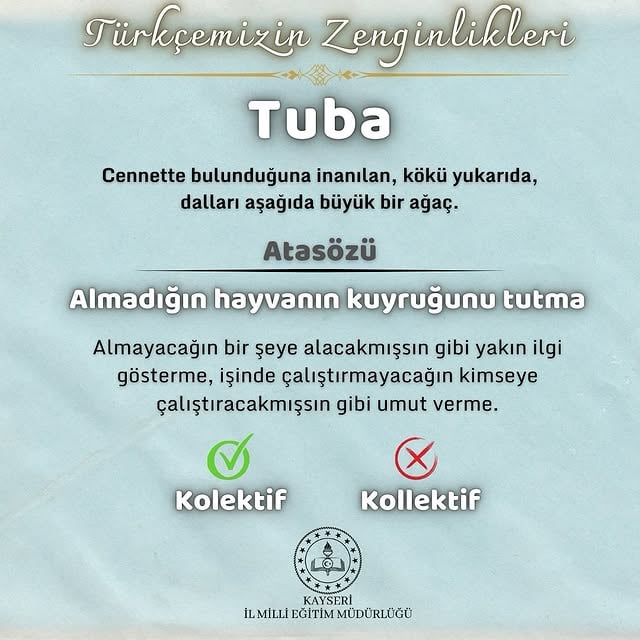 Dilin Zenginliği ve Sözlük Özgürlüğü Vurgusu: Kayseri'de Eğitim Çalışmalarında Dilin Önemi