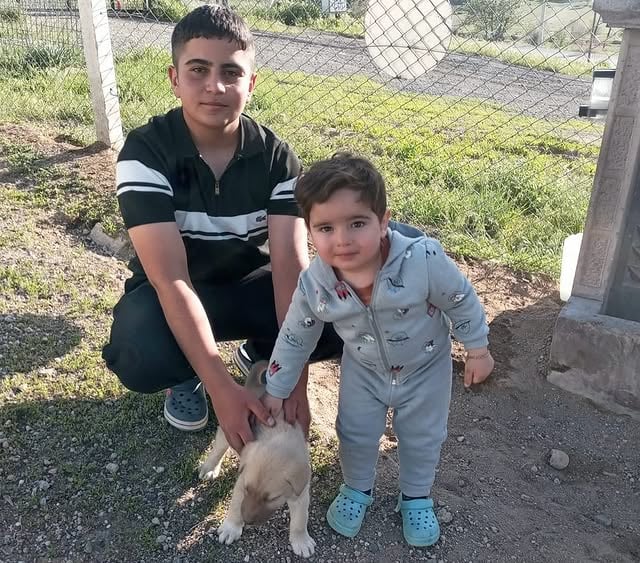 Talas Belediyesi'nden Pati Evi'de Mutlu Sahiplenmeler