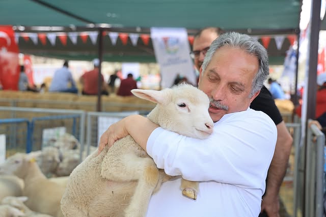 Talas'ta Koyun Irkı Festivali Yoğun İlgi Gördü