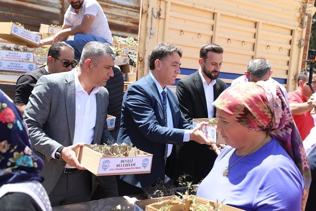 Develi'de Organik Tarıma Destek: 20 Bin Domates Fidesi ve 2 Bin Çam Fidanı Dağıtıldı