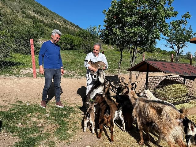 Talas Belediyesi Ali Dağı Mini Çiftliği Çocuklarla Buluştu