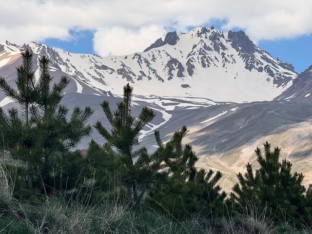Kayseri Erciyes'te Fidan Dikimi Tamamlandı