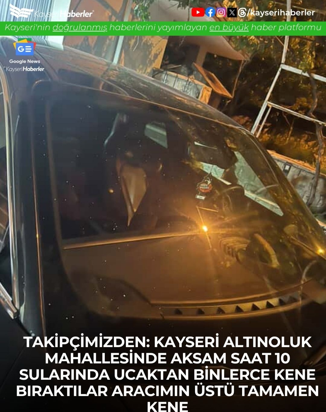 Kayseri'de Akşam Saatlerinde İlginç Olay: Araçlar Üzerine Kene Yağmuru