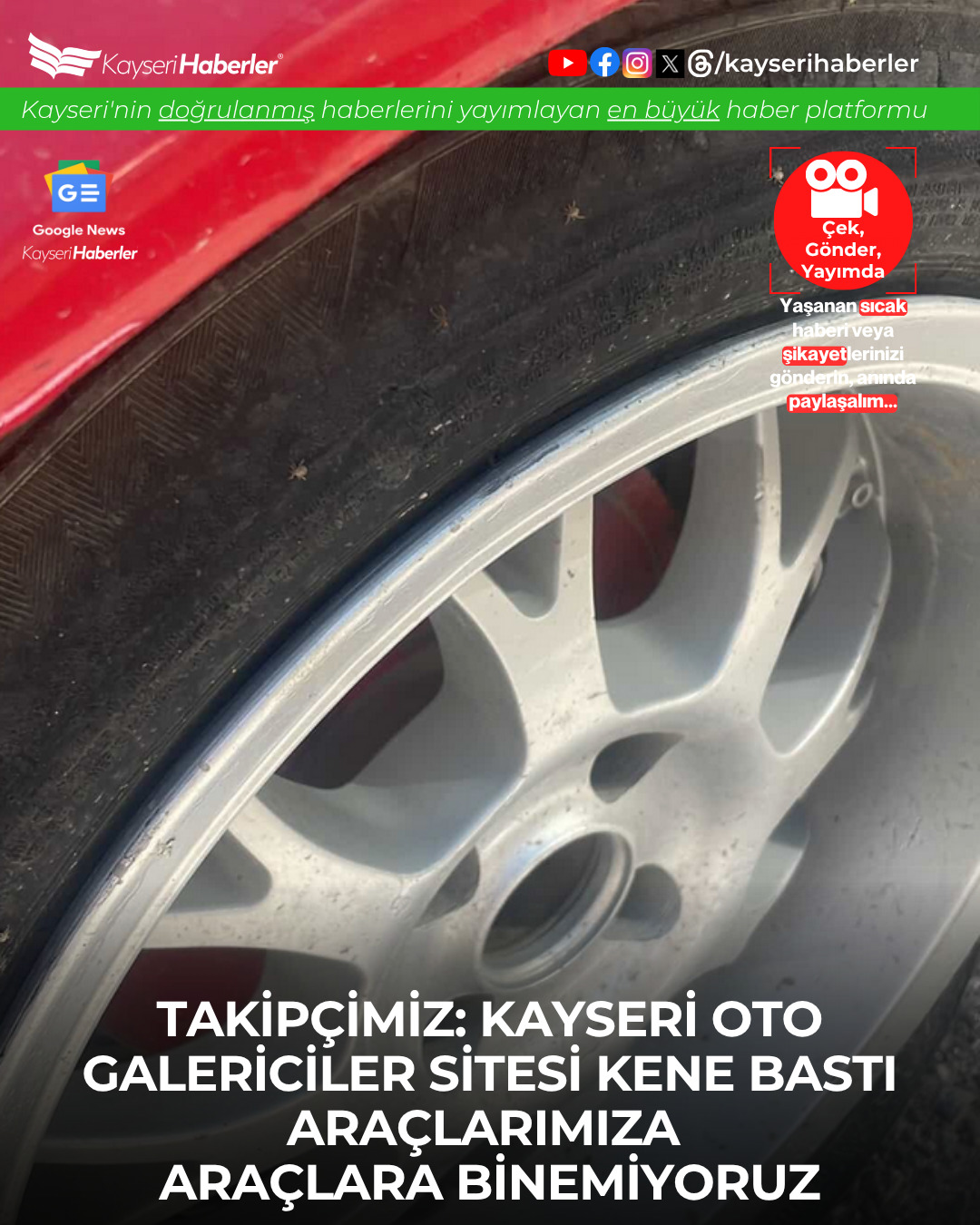 Kayseri Oto Galericiler Sitesi'nde Kene Sorunu: Araçlara Binmek Zorlaştı