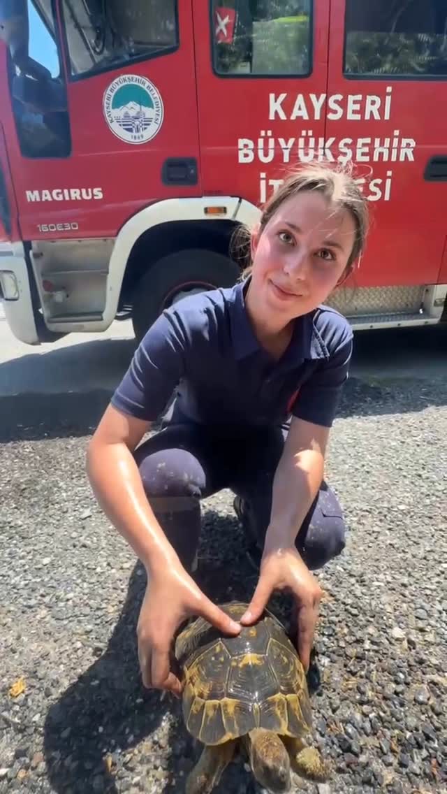 Kayseri İtfaiyesi Minik Kaplumbağayı Yangından Kurtardı