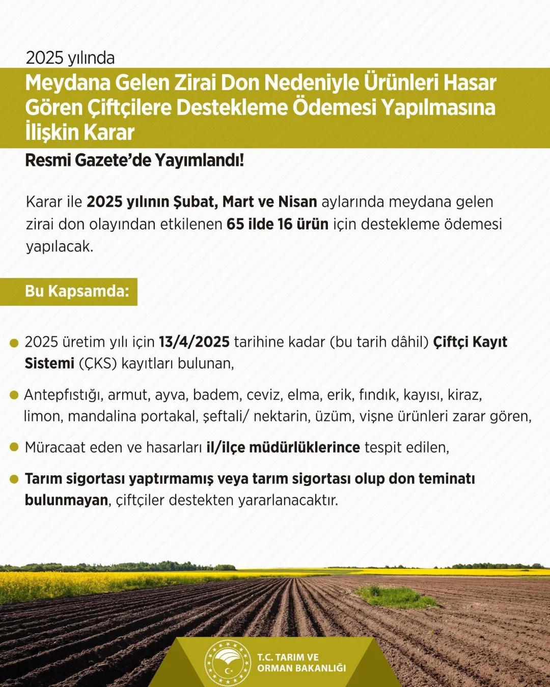 Develi'de Zirai Don Ödemeleri Başladı: Çiftçilere Destek Müjdesi