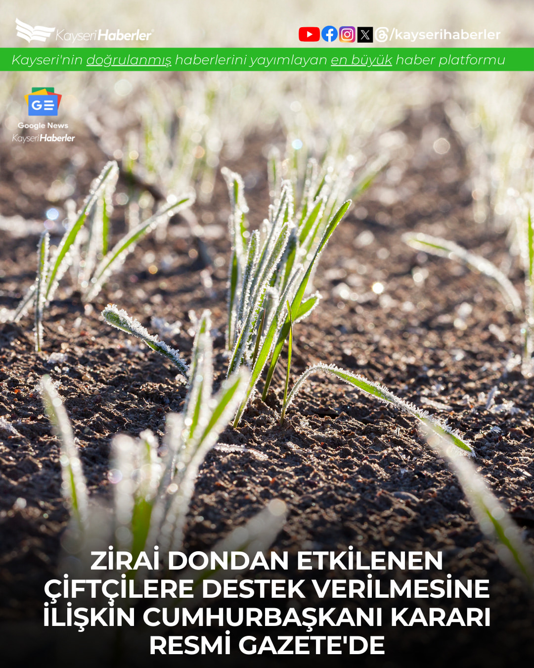 Kayseri'de Zirai Don Desteği Başlıyor: 46.5 Milyar Lira Ödeme