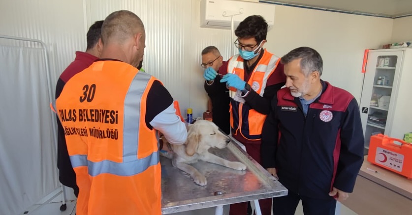 Talas Belediyesi Can Dostları İçin Deprem Tatbikatı Gerçekleştirdi