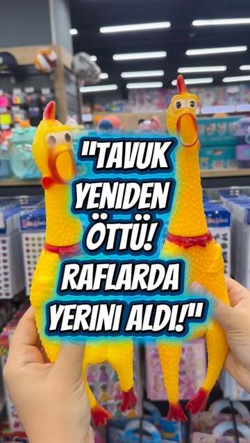 Kayseri'de Sesli Tavuk Kitabı Raflardaki Yerini Aldı
